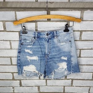 American Eagle Outfitters Light Blue Distressed Jean Denim Mom Shorts Size 2